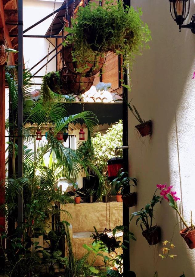 Le Jardin Du - Galle