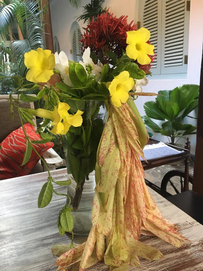Le Jardin Du - Galle