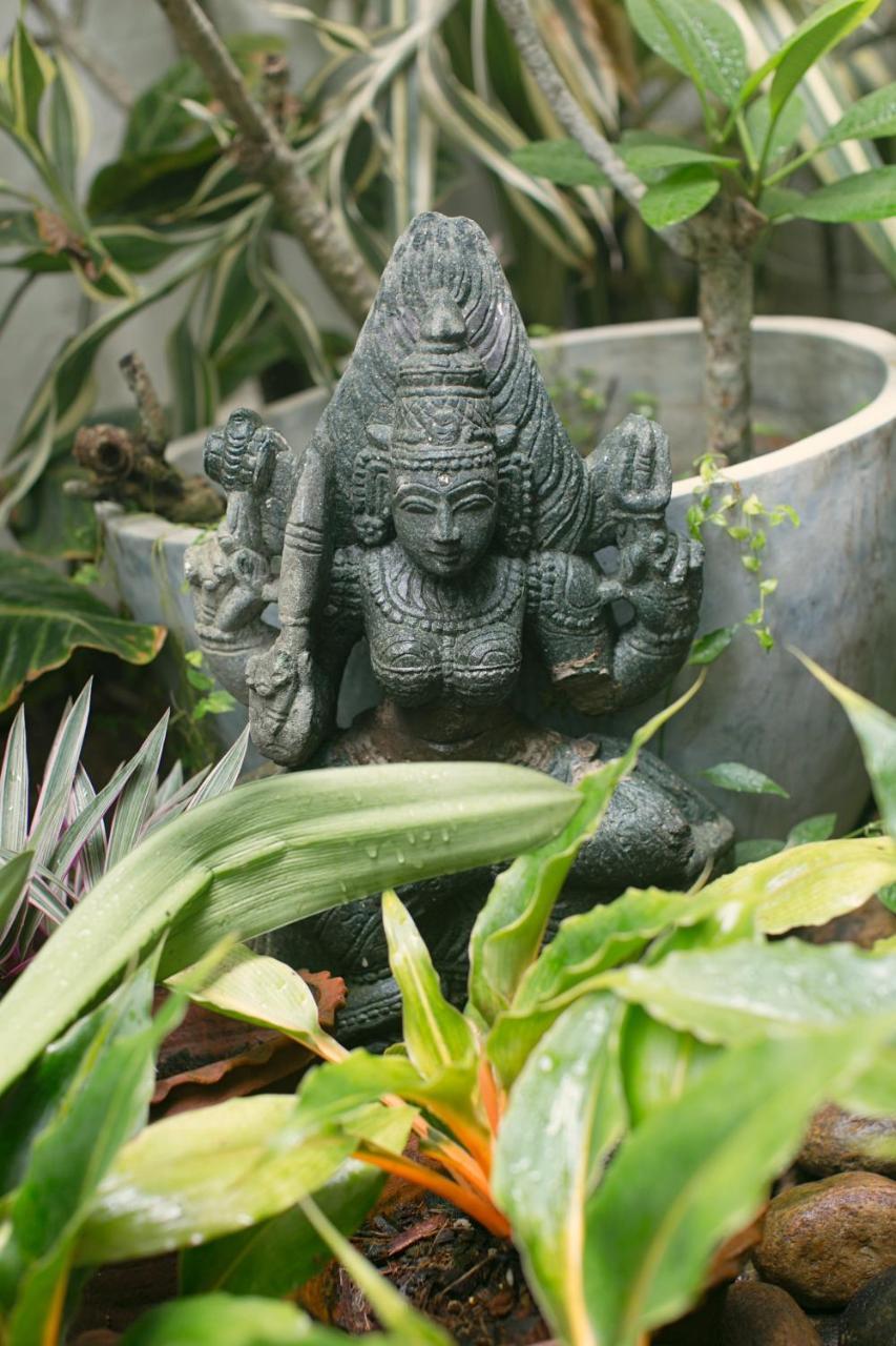 Le Jardin Du - Hotel Galle
